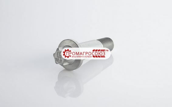 Купить болт крепления суппорта  (rotos). m 16 x 1,5 x 57 оптом и в розницу.